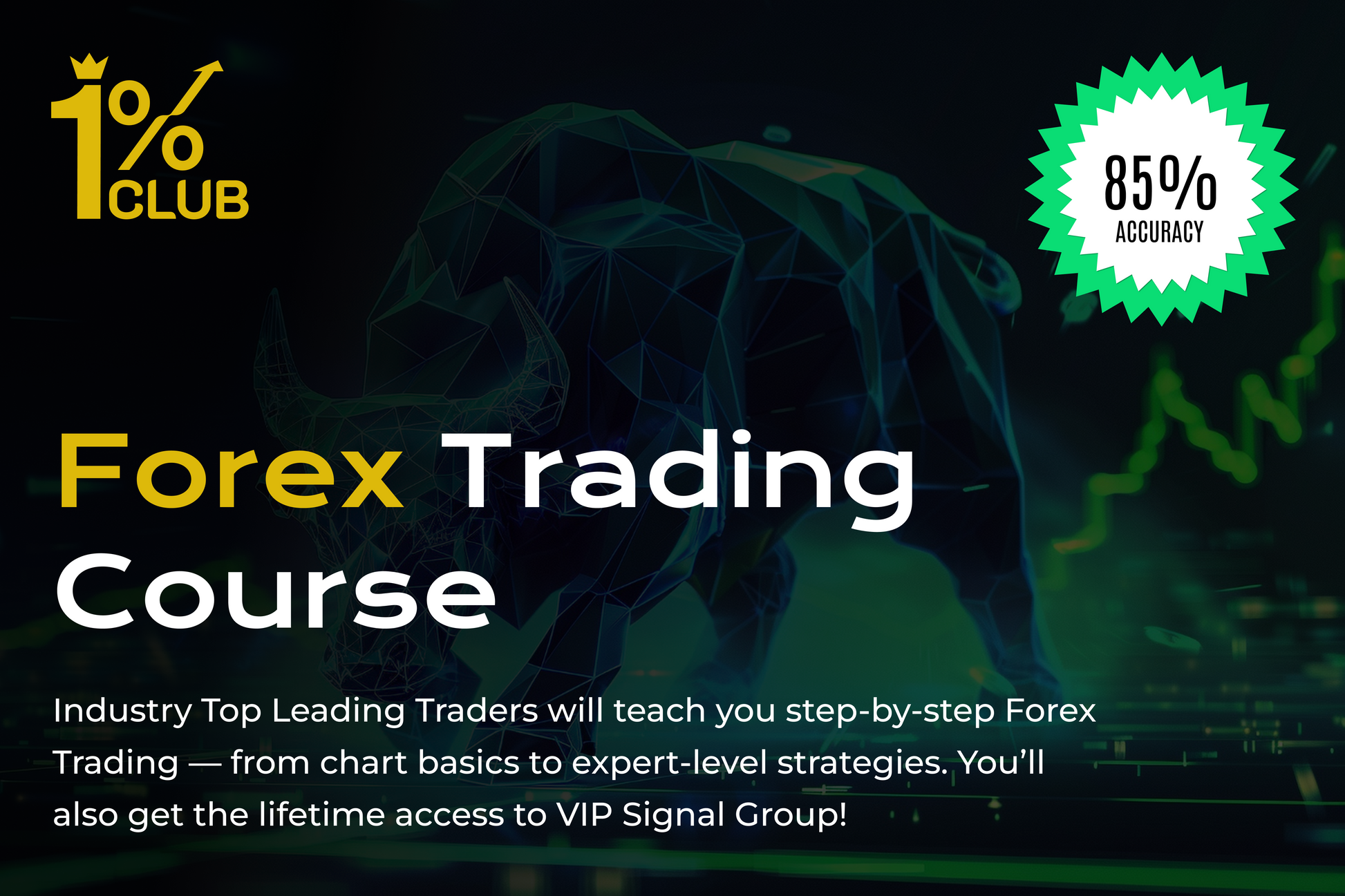 Forex & Crypto Trading Course + VIP Signal Group (Lifetime Access)